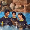 Dolphin Bay Experiences Atlantis, The Palm Water Parks - Image 2