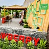 Strawberry Farm Strawberry Farm Top-Rated Attractions - Image 2