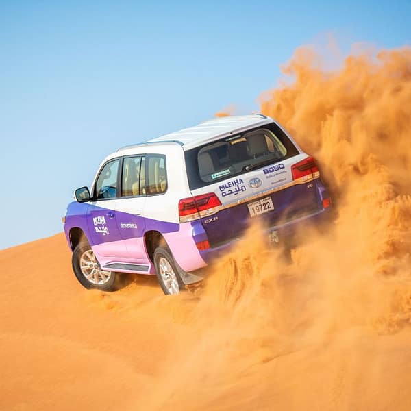 Mleiha Landscapes Tour in SUV Top-Rated Attractions